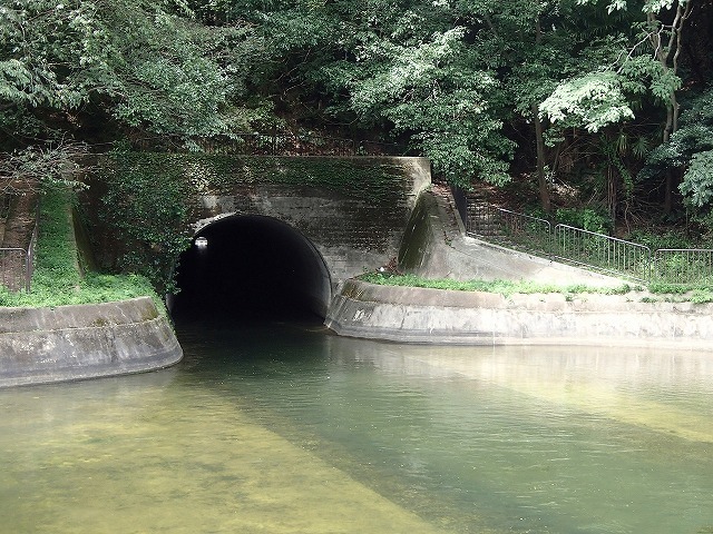 b0044663_14324625.jpg