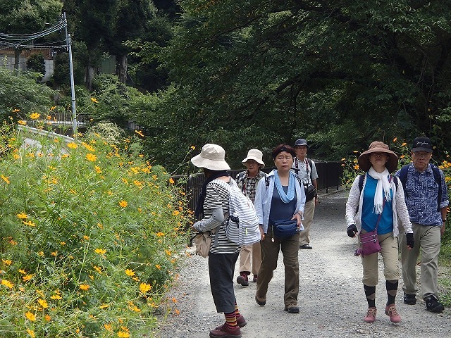b0044663_14354250.jpg