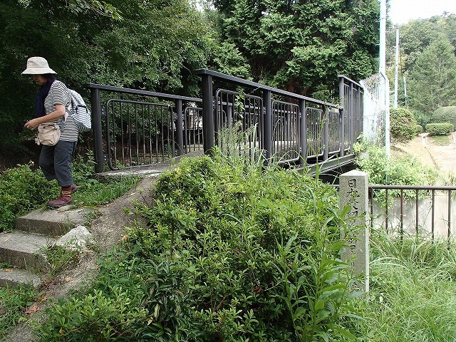 b0044663_1437480.jpg