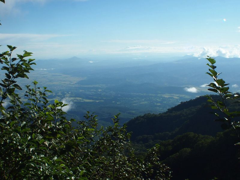 c0321967_10362625.jpg