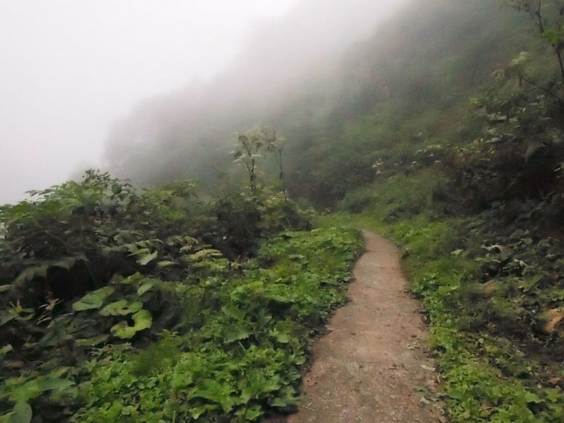 c0321967_10374887.jpg