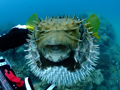 b0033573_00225906.jpg