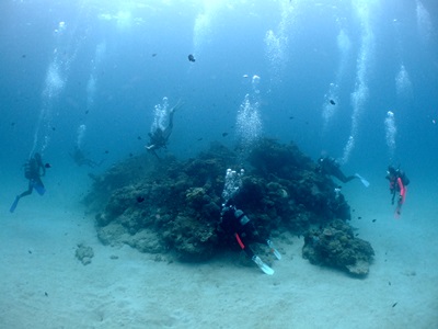 b0033573_00231186.jpg