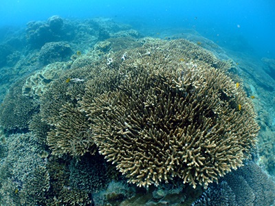 b0033573_00235589.jpg