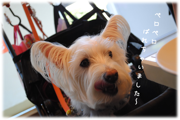 b0242873_02040359.png