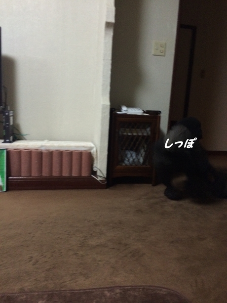 c0283778_15532776.jpg
