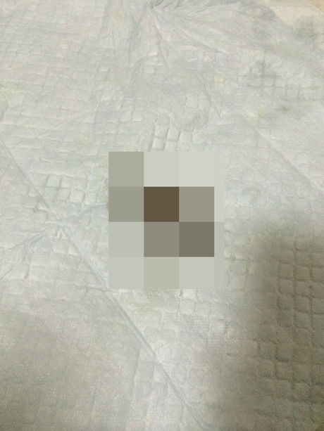 c0283778_15573887.jpg