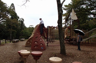 d0143678_1258484.jpg