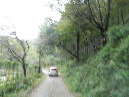 f0101679_22225091.jpg