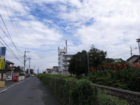 e0130185_11432048.jpg