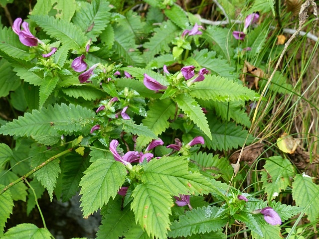 f0357487_0123386.jpg