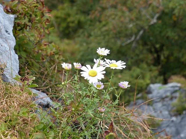 f0357487_023276.jpg