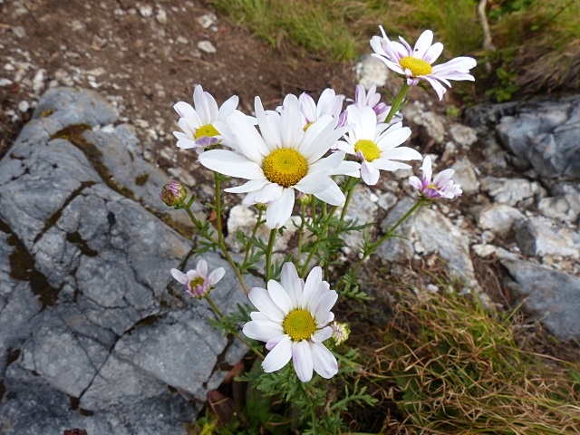 f0357487_02432.jpg