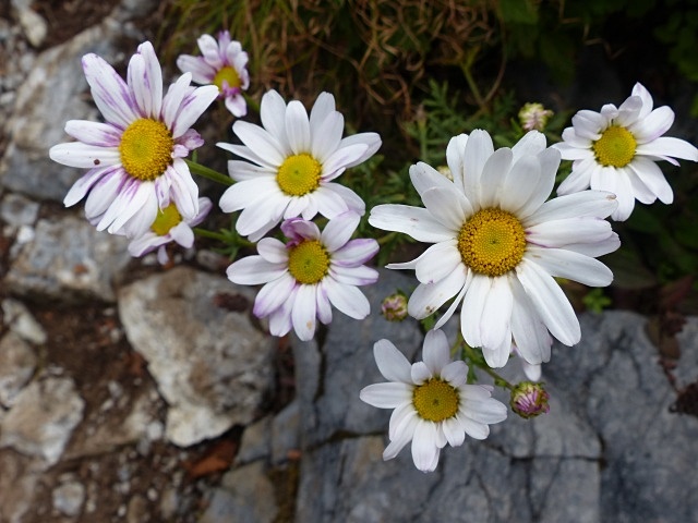 f0357487_025287.jpg