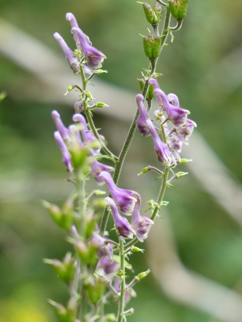 f0357487_074992.jpg