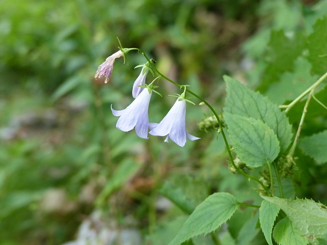 f0357487_2038564.jpg