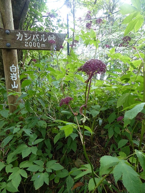 f0357487_2047199.jpg
