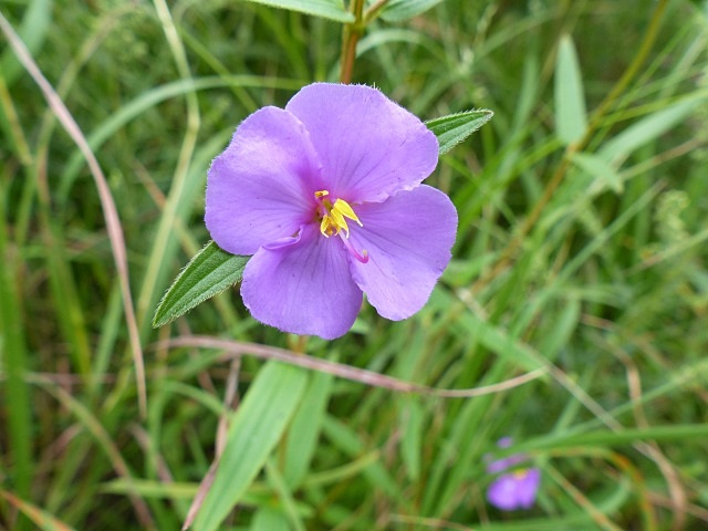 f0357487_20515619.jpg