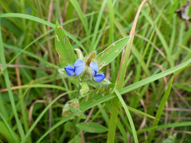 f0357487_2055084.jpg