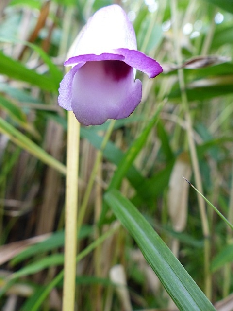 f0357487_2056695.jpg