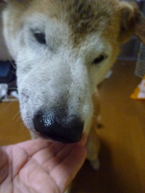 c0123890_23155130.jpg