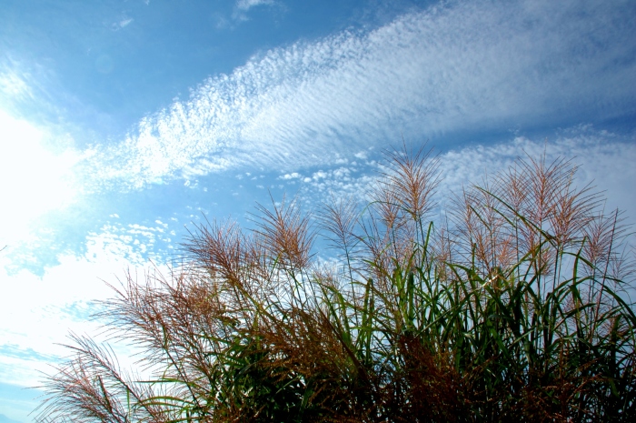 c0246290_01372440.jpg