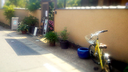 c0242791_19251848.jpg