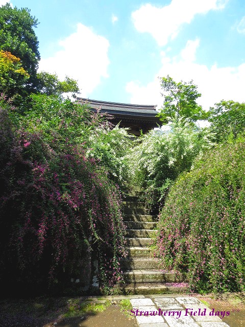 c0087094_22371815.jpg