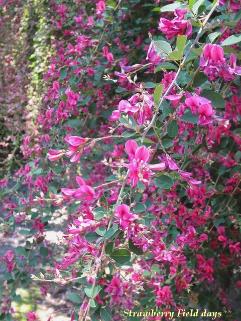 c0087094_22394553.jpg