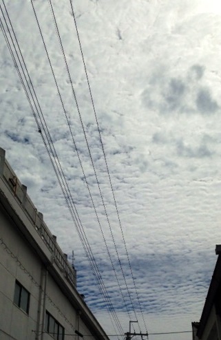 b0301400_01153805.jpg