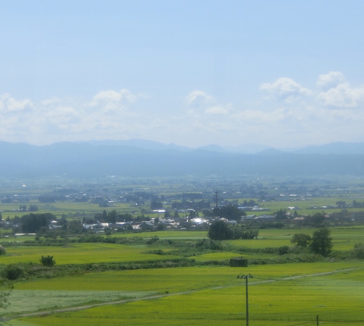 d0004301_19565621.jpg