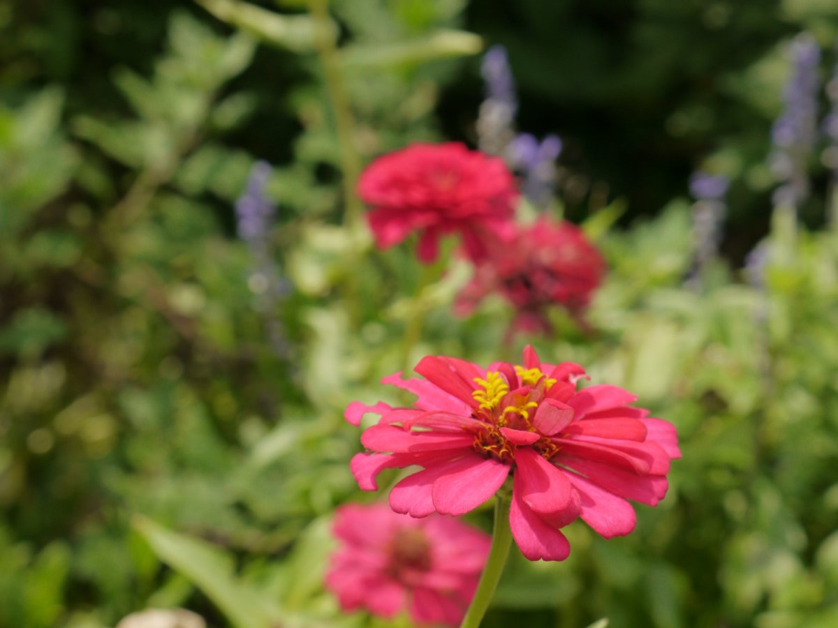 b0165802_085270.jpg