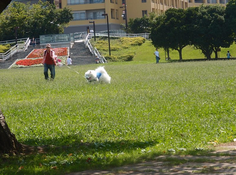 e0018604_15293506.jpg