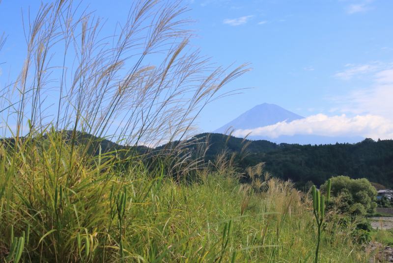 a0188405_00142071.jpg