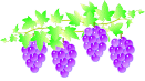 f0231709_1071167.gif