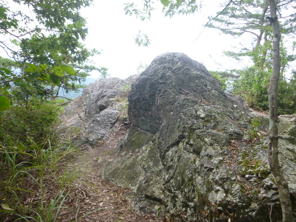 d0170615_7262177.jpg