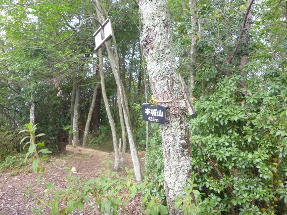d0170615_7263437.jpg