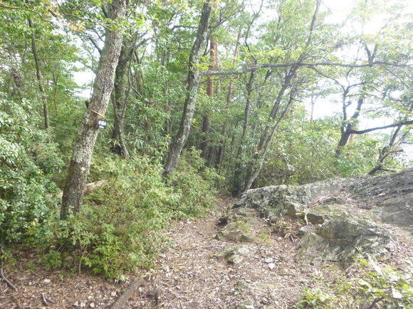 d0170615_7273071.jpg