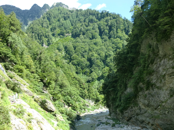 c0210618_21515246.jpg