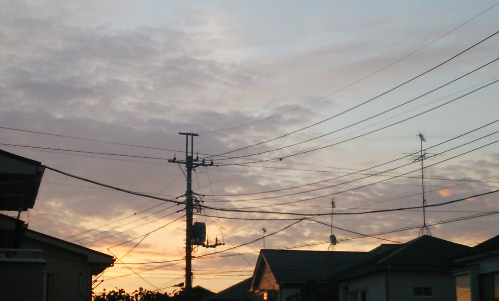 b0199924_16394983.jpg