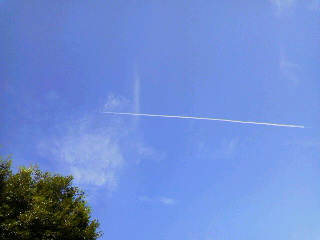 c0192027_16115564.jpg