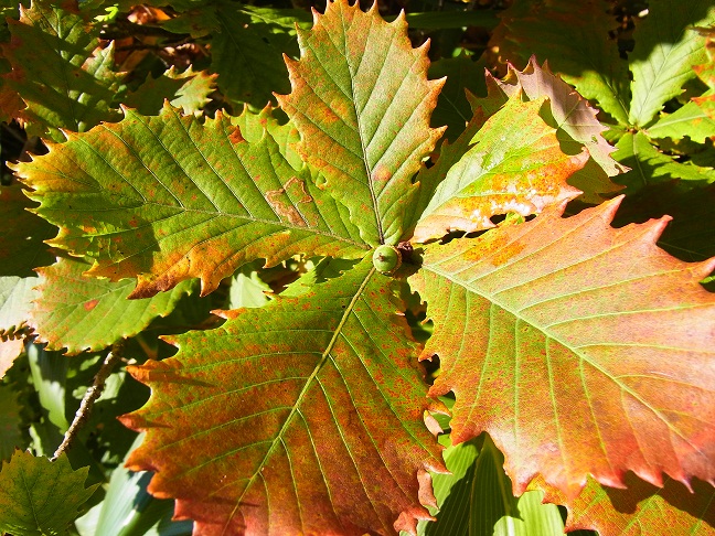 c0225927_10371245.jpg