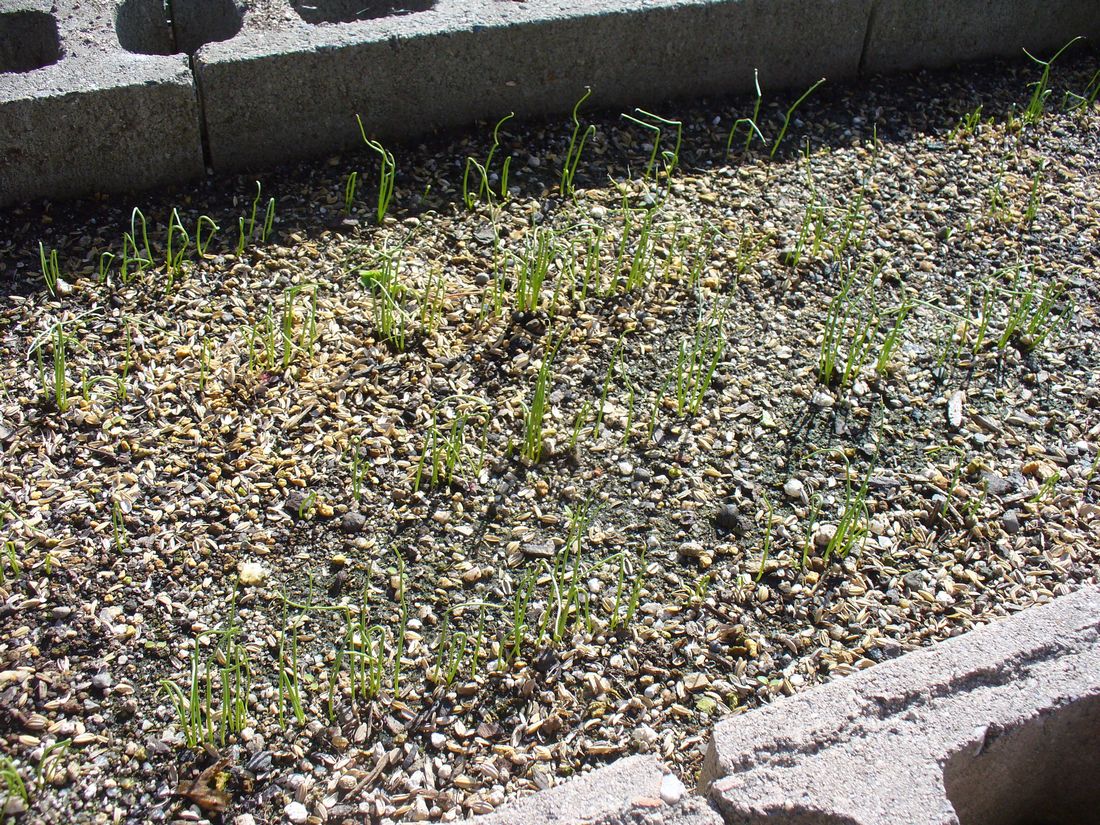f0346527_2201544.jpg