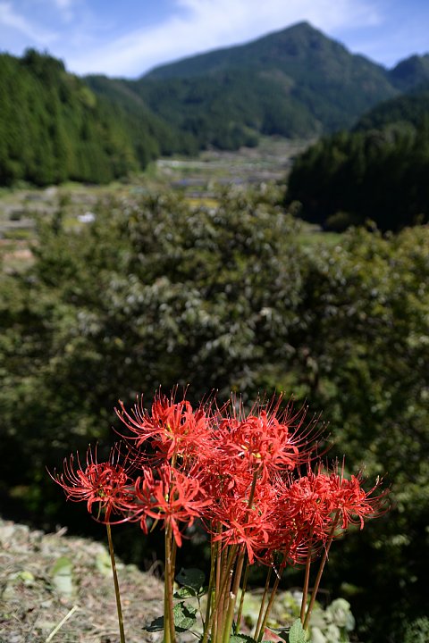 b0134829_22263235.jpg