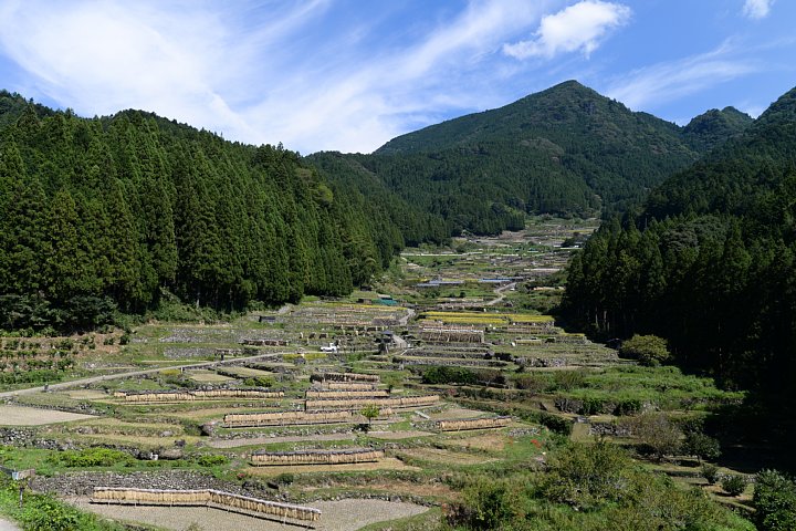 b0134829_22264858.jpg