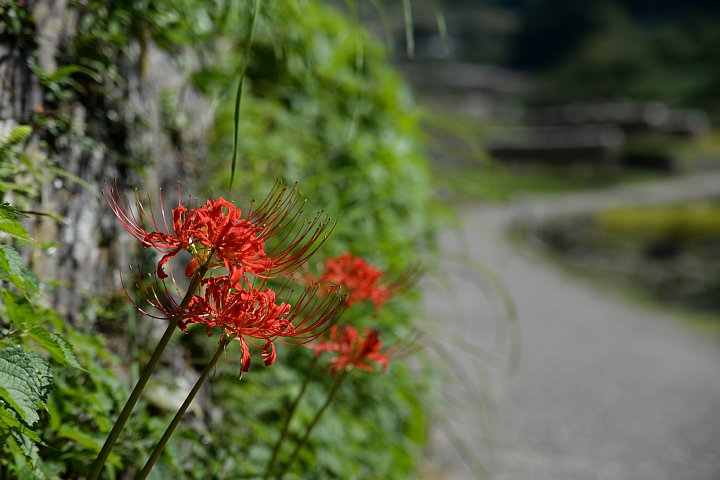 b0134829_22342333.jpg