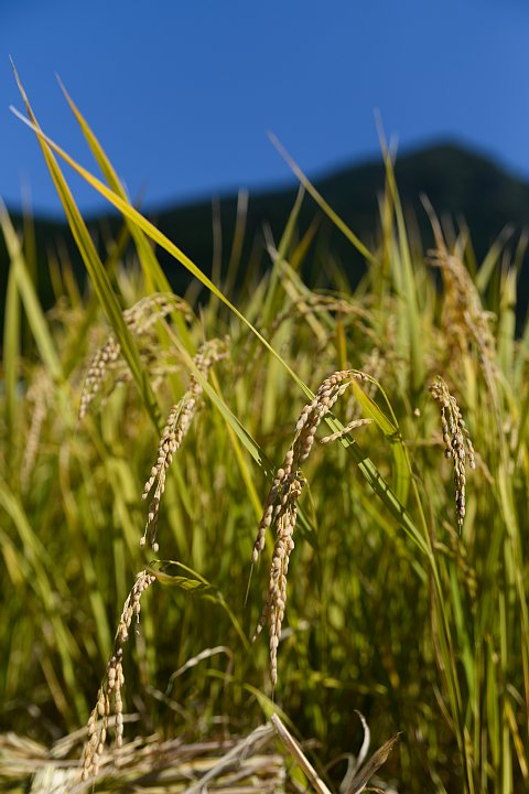 b0134829_22344398.jpg