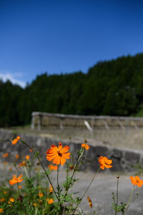 b0134829_22395119.jpg