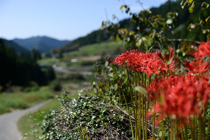 b0134829_2246214.jpg