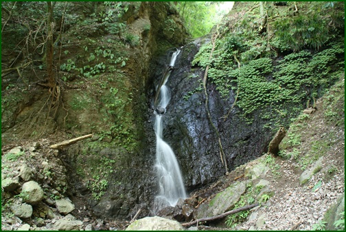 e0033229_20504976.jpg